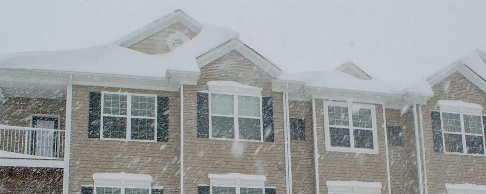 Renters Winter Banner Renters Winter Banner